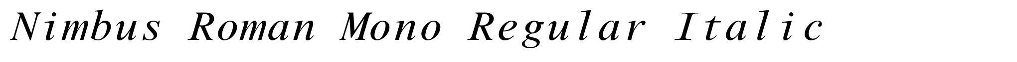 Nimbus Roman Mono Regular Italic image